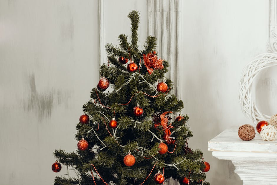 Frontgate Christmas Tree assembly and care guide illustrating the steps, storage, and care tips.